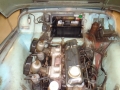 TR3 012