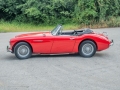 Austin-Healey-25