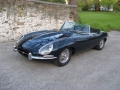 Jaguar 003
